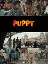 Puppy (2025) Kannada